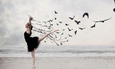 汇总了世界各地不同时期、不同领域的经典名言、名句、名段的全球性经典语录大合集