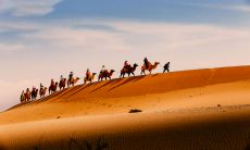 在端午节期间，通过发短信给姐妹们送去问候和祝福