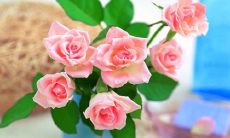 150字的标题：深情感恩学校的句子，致敬培养我们的母校，激励我们踏实成长