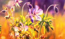 不要让对亲情留下遗憾的句子成为现实