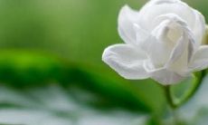 改写后的标题：平凡而真挚的友情问候短信，传递温情暖意！