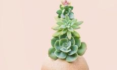 深感不快的分手时刻：掏心掏肺地吐露内心感受的句子剖析心情