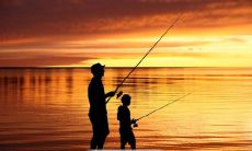 用动作诠释亲情的句子，如何表达对家人的深情？