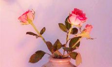 一份让人感到轻松快乐、流畅优美的句子合辑