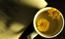 一些适合照片留念时让人开心的句子建议