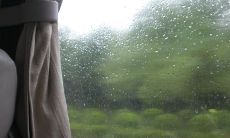 寻觅那些承载爱情失望和疑虑的压抑句子