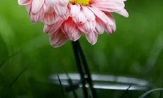 感受周末愉快的简单方法：如何让你的休息日充满快乐和满足？