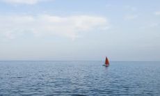 让我们听听女性分享的开心句子，让生活变得更加美好！