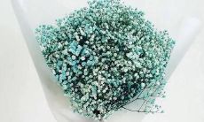 优美而缠绵、充满深情的词句——全面解析唯美句子的精彩魅力