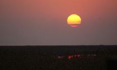 美好清晨的阳光照亮着心灵 这些唯美句子适合用来发清晨的问候语