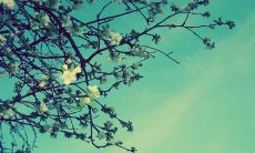 激励你奋斗励志的精选名言：鼓舞心灵、激发动力、赢得成功之道！