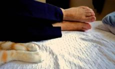 通过努力工作，坚定信念并保持动力，追求梦想的励志短句