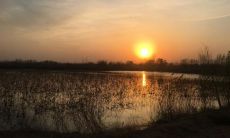 酷炫又幽默的口号在可爱团队中有着不可忽视的霸气效果