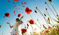 普遍认同的“所谓亲情不过如此句子”是否对享有完整家庭和固定亲情观念的人士构成根本威胁？