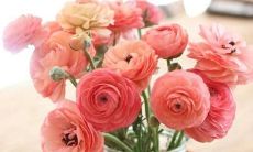 用感人短语表达爱与温暖：完美诠释亲情之美的日常句子