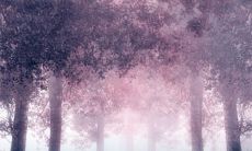 闻到海的气息，想起了心灵深处那些与海有关的文艺短句