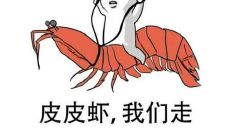 一句极具挑战的语句，充满着不安和不确定性的刺激体验