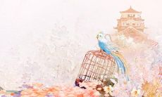 一些令人感动的关于女生友谊的句子，用于强调女性之间的真正互相关怀和友情