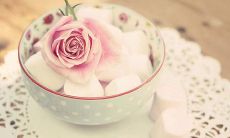 40个令人动容的文学句子，关于亲情，述说着深深的感情和无尽的爱意