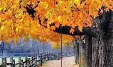 感动你的心灵： 十句关于亲情之间爱的优美句子，让你感悟人间真情！