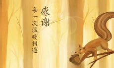 让我们珍惜每一刻，感恩生命中有你的存在：深情句子表达最高的敬意与感激