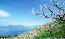 缘分的奇妙力量：友情相识的不可思议之处