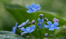 一些句子，形容恋爱带来的幸福之感