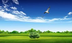 一些适合用于恋爱场合或表达爱情的句子汇总