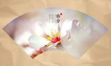 祝福短信问候语：利用春分节气养生保健，为健康注入温馨关怀的文字内容