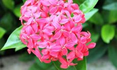 祝福一个女孩子每天都能感受到开心和快乐，以下是能够形容这种幸福感的句子