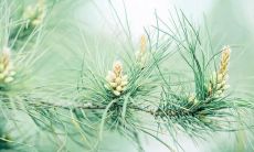 令人感动的友情句子，让你充满惊喜和感激之情