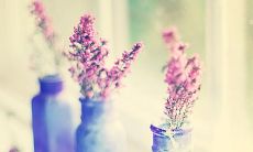 不要将友情误作爱情——一幅充满诗意的句子