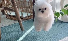 带有可爱和酷的个性化短语，表达强烈的奶嘴气息的说说短句