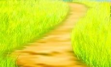 今晨与女友分享温馨问候的短信：文文静静，乡音犹存，静候一夕辗转难眠的喜悦！