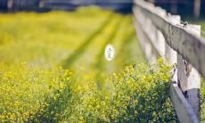 关心你的夏日健康：送上防暑关怀问候短信！