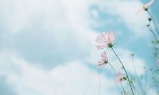 在夜深人静时，表达内心烦乱、睡眠难眠的痛苦句子，探寻各种心情短语的充实表达方式