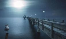 分享最无助、最心痛的句子以表达心情之苦楚