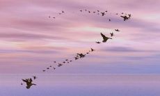 为成功生活而设立的完美座右铭：如何制定、应用和传达个人价值观？