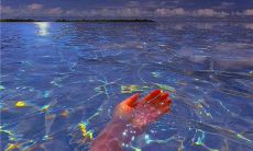 如何使用英语口语在短信中发送温馨问候？