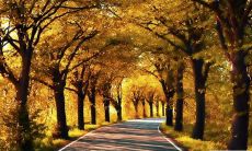 改写后的标题： 让你随时掌握天气情况，无时无刻享受定制化问候短信服务