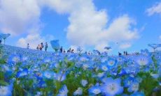 享受有限的人生，快乐是必备的：生命短暂，要开心的名言和格言