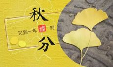 45句适合秋分发的精美说说合集，让你在社交媒体上闪耀出彩！