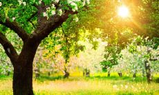 同学相聚快乐的句子，呈现特别好的团聚氛围