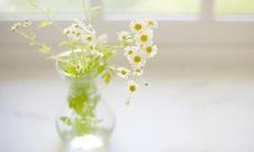 探讨被最亲密的人出卖的心情：诉说那些被背叛的情感句子