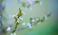 献上春分祝福的优美句子：用温馨语言送上春分的祝福