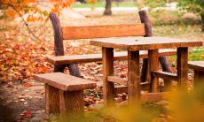 2015年度优美句子精选，彰显文学之美与语言之韵！