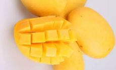 探寻芒果之美：汇聚妙语佳句，述说沁人心脾的芒果风味体验