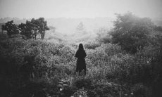 用于表达对未能获得亲生父母关爱而感到失望与心寒的情感表达句子