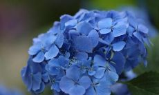 美好的一天结束了，今夜心满意足，愿明天带来更多的喜悦和幸福