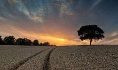 在高温难耐的天气中，向会员发送问候短信，展现关怀之心